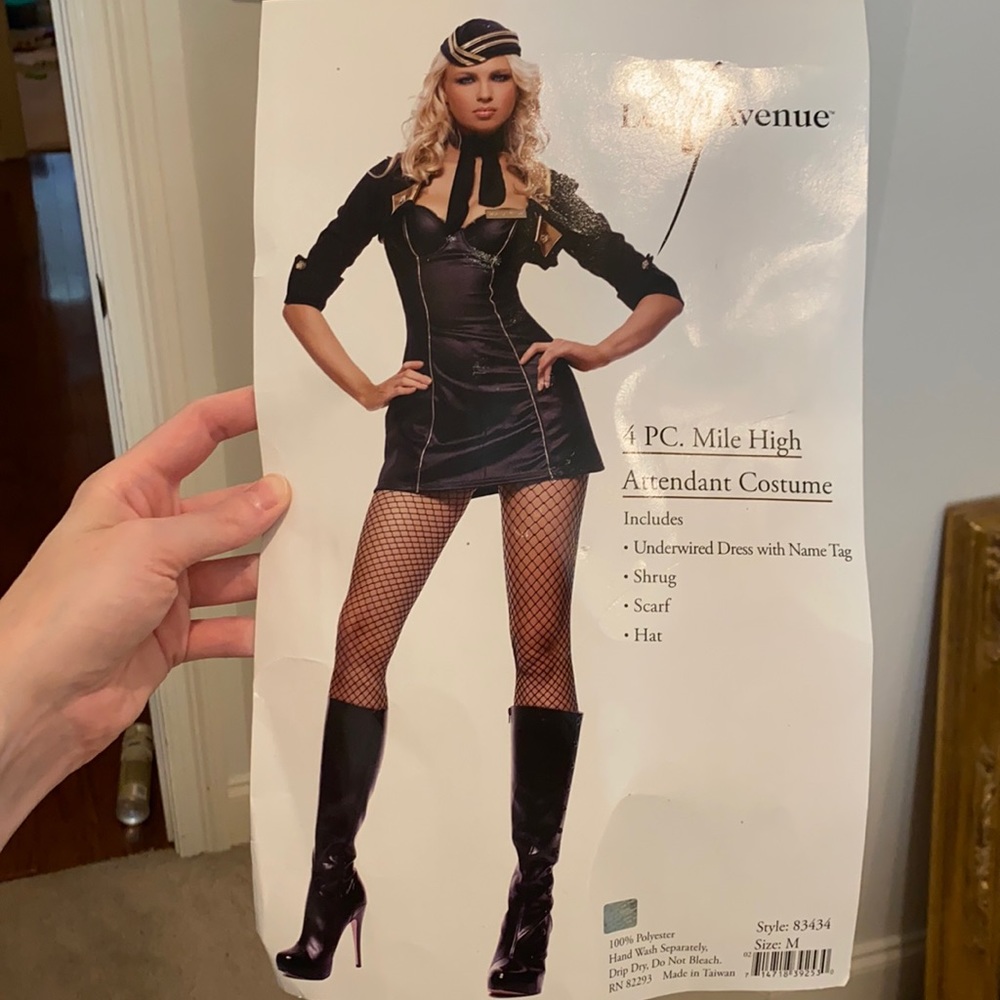 4 piece Mile High Attendant Costume